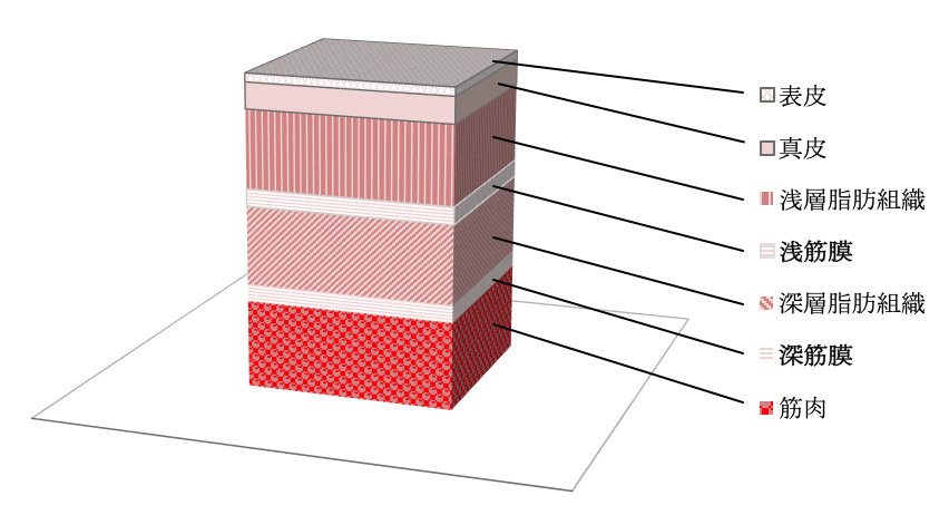 fascia(ファシア)の癒着の原因