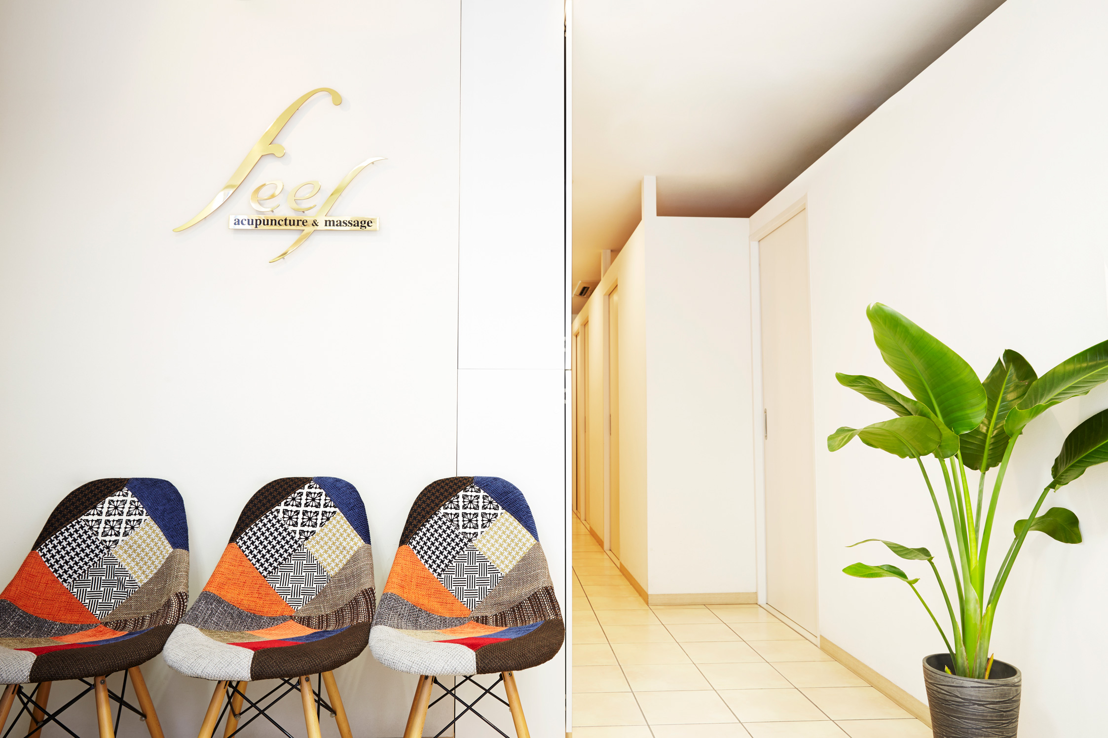 feel横浜本院紹介